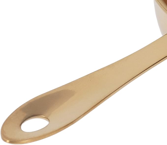 Stainless Steel Milk Pan, Mini Butter Warmer Saucepan Professional Cooking Sauce Pan with Pour Spouts for Milk Chocolate Hot Oil (Gold)