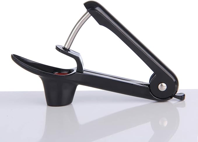 2pcs Cherry Pitter Tool, Cherry Pit Remover Tool, Multi-Function Fruit Corer and Remover, Cherry Corer Pitter Tool for Jam (Black)