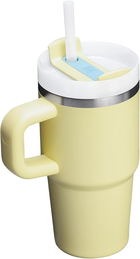 Stanley Quencher H2.0 Tumbler with Handle and Straw 20 oz | Flowstate 3-Position Lid | Cup Holder Compatible for Travel | Insulated Stainless Steel Cup | BPA-Free | Pomelo