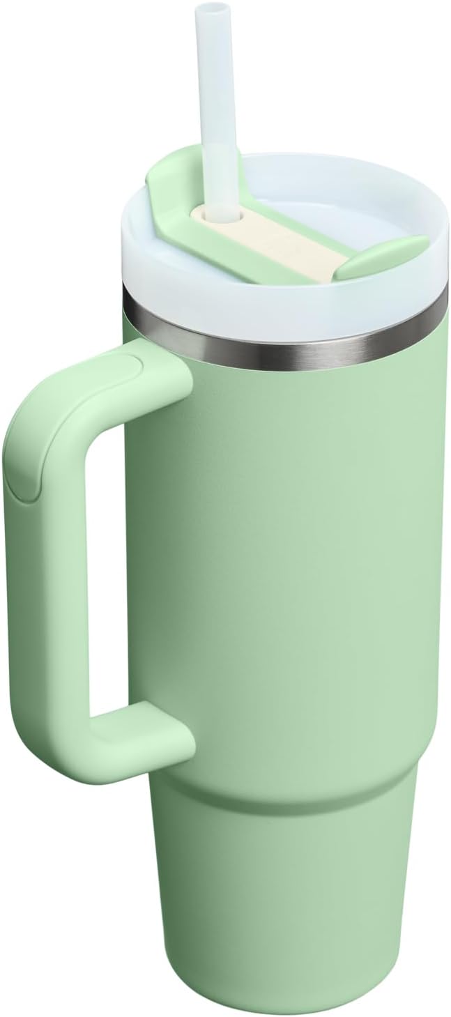 Stanley Quencher H2.0 Tumbler with Handle and Straw 30 oz | Flowstate 3-Position Lid | Cup Holder Compatible for Travel | Insulated Stainless Steel Cup | BPA-Free | Pistachio