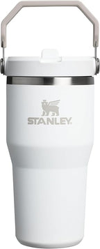 Stanley IceFlow 2.0 Flip Straw Tumbler with Handle 20 oz | Twist On Lid and Flip Up Straw | Leak Resistant Water Bottle | Insulated Stainless Steel | BPA-Free | Frost