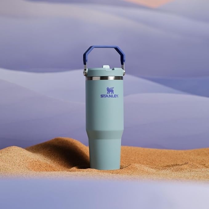 Stanley IceFlow 2.0 Flip Straw Tumbler with Handle 30 oz | Twist On Lid and Flip Up Straw | Leak Resistant Water Bottle | Insulated Stainless Steel | BPA-Free | Exclusive Blue Cactus