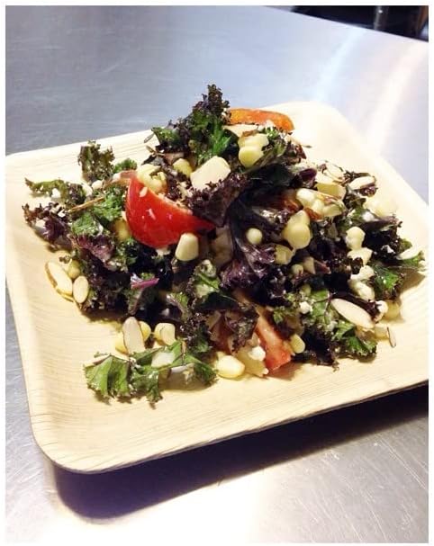 Raj Palm Leaf Plates [400-Pack] 10" Square Plates like Bamboo plates Disposable, Strong, Decorative Compostable Tableware for wedding, Lunch, Dinner, Birthday, Camping, Outdoor BBQ, Picnic…