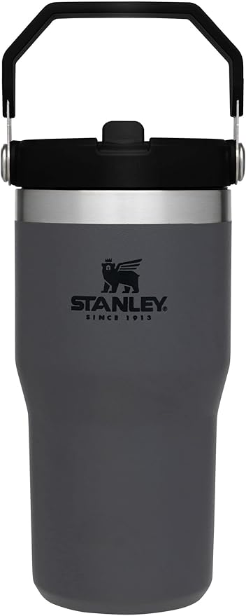 Stanley IceFlow Flip Straw Tumbler with Handle 20 oz | Twist On Lid and Flip Up Straw | Leak Resistant Water Bottle | Insulated Stainless Steel |BPA-Free | Charcoal