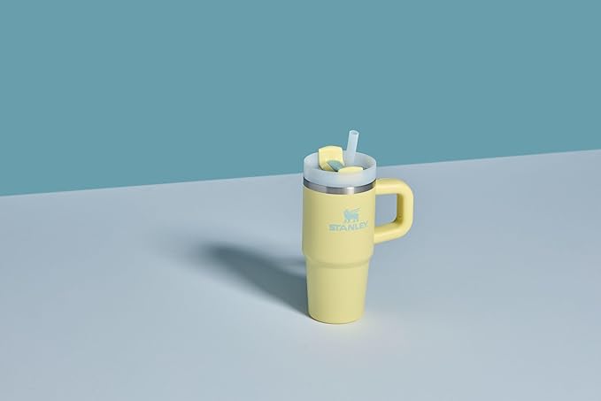 Stanley Quencher H2.0 Tumbler with Handle and Straw 20 oz | Flowstate 3-Position Lid | Cup Holder Compatible for Travel | Insulated Stainless Steel Cup | BPA-Free | Pomelo