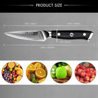 SHAN ZU 4 Inch Paring Knife, Japanese Steel Damascus Professional Kitchen Knives High Carbon Super Steel Carving Knife with Gift Box
