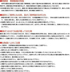 ITCHU-DO HAKEME Japanese Cast Iron tea Kettle Nambu Tetsubin 600ml