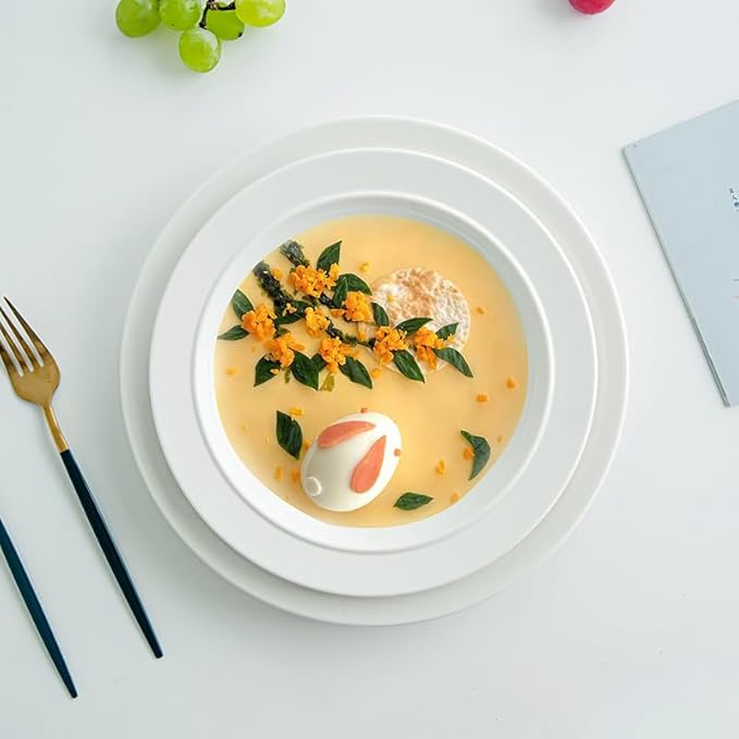 9-inch Porcelain Dinner Plate Set of 6 - Microwave, Oven and Dishwasher Safe, Scratch Resistant. (9-inch White)