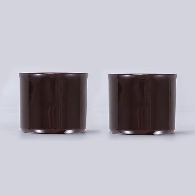 Espresso Cups Set of 2, Ceramic Espresso Cups, Expresso Shots Cups, 2.5oz Tea Cups, Demitasse Cups (2, magic inside)