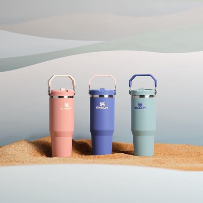 Stanley IceFlow 2.0 Flip Straw Tumbler with Handle 30 oz | Twist On Lid and Flip Up Straw | Leak Resistant Water Bottle | Insulated Stainless Steel | BPA-Free | Exclusive Blue Cactus