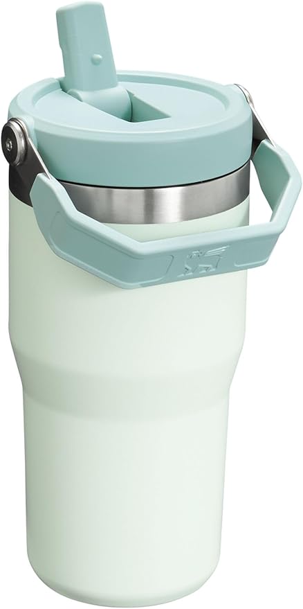 Stanley IceFlow Flip Straw Tumbler with Handle 20 oz | Twist On Lid and Flip Up Straw | Leak Resistant Water Bottle | Insulated Stainless Steel |BPA-Free | Mist