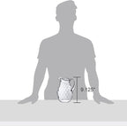 Amazing Abby - Bubbly Whirly - Plastic Pitcher (64 oz, 2 Quart), Clear Water Pitcher with Lid, Fridge Jug, BPA-Free, Shatter-Proof, Great for Iced Tea, Sangria, Lemonade, Juice, Milk, and More