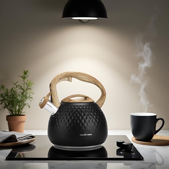 Tea Kettle Stovetop,2.5QT Stainless Steel Whistling Teapot for Stove Top Aesthetic,Portable Water Kettles Camping with Anti-hot Silicone Handle,Suitable for All Heat Sources,Black