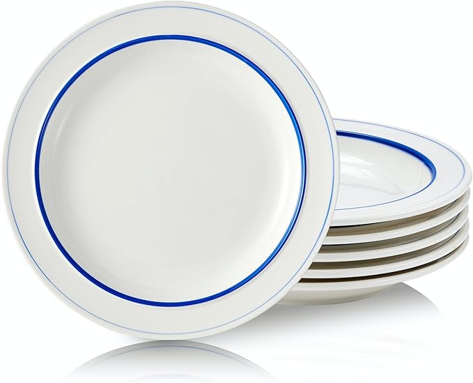 9-inch Porcelain Dinner Plate Set of 6 - Microwave, Oven and Dishwasher Safe, Scratch Resistant. (9-inch Blue)