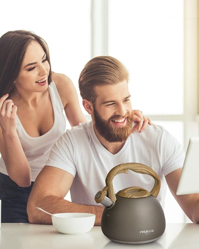 POLIVIAR Tea Kettle, Iron Grey Tea Pot Stovetop, 2.7 Quart Loud Whistling Coffee and Teapot, Food Grade Stainless Steel for Anti-Hot Handle and No-Rust, Suitable for All Heat Sources (JX2020-QB30)