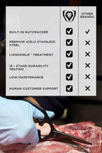 Dalstrong Japanese Stainless Steel Ambidextrous Kitchen Scissors - All Purpose - Heavy Duty - Detachable - Sharp Blade - Herbs, Pizza, Meat Cutting