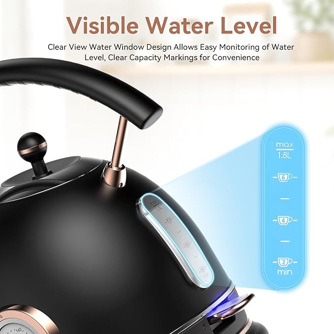 Rasonic Retro Electric Kettle Stainless Steel, 1.8L Tea Water Boiler, 1500W Fast Quiet Boil, Temperature Gauge, Auto Shut-Off, Boil-Dry Protection, Matt Black and Rose Gold