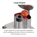 Robot Coupe CL50EUPIZZA Pizza Pack Single-Speed Cutter Mixer Continuous Feed Commercial Food Processor with Side Discharge, 120v