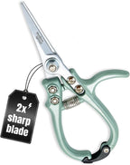 Modern Sprout Pruning Shears - Herb Snipping Scissors- Lightweight Gardening Tools W/Easy Lock - Flower Cutter Garden Shears - Carbon Steel Blade + Reusable Holster (Sage, 1-Pack)