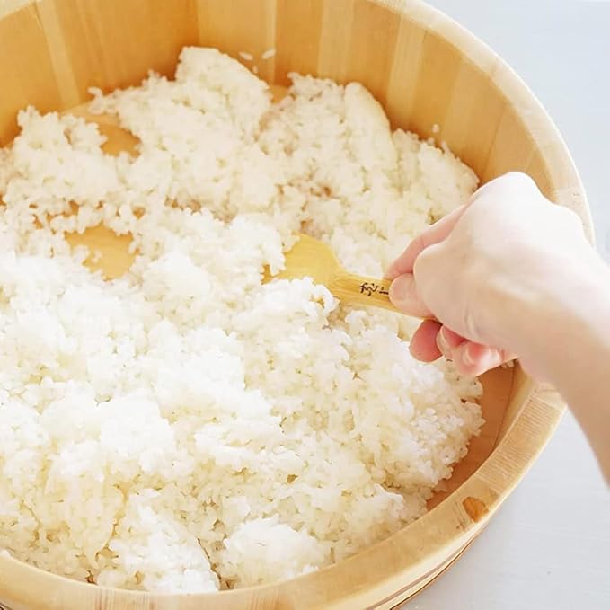 TIKUSAN Wooden Hangiri Sushi Rice Mixing Tub PP Band with Lid Made in Japan Made of Momi Fir Sushi Rice Bowl Sushi Oke (13" (33cm))