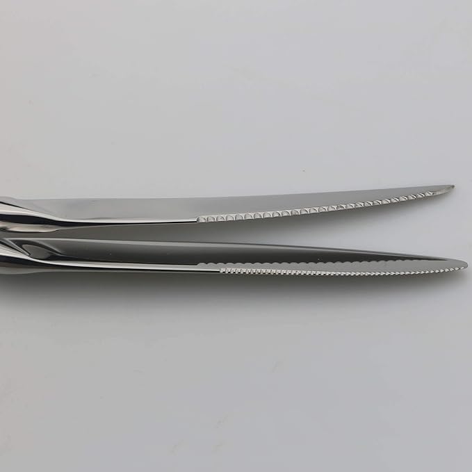 18/10 Stainless Steel Flatware Set, Serrated Steak Knife, Mirror Polishing Silver, Service for 4