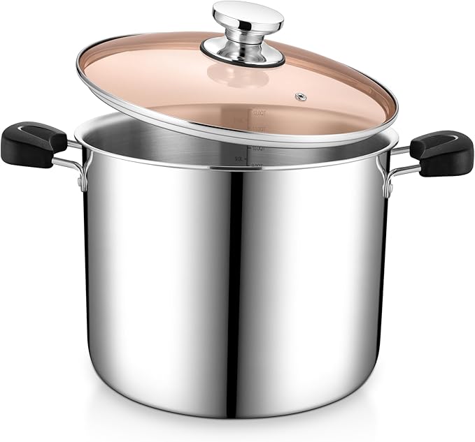 P&P CHEF Stainless Steel 3-Ply Sock Pot with Lid, Stockpot for Cooking Pasta & Stewing Soup, Fits Multi Stoves, Heat-proof Handle & Clear Lid, Heavy Duty & Dishwasher Safe, 12 Quarts