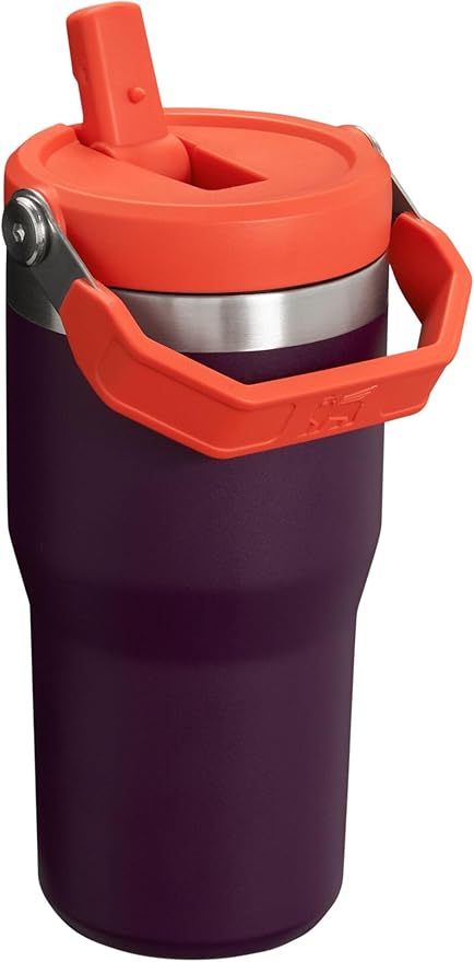 Stanley IceFlow Flip Straw Tumbler with Handle 20 oz | Twist On Lid and Flip Up Straw | Leak Resistant Water Bottle | Insulated Stainless Steel |BPA-Free | Plum