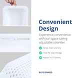 BLUE GINKGO Over the Sink Colander Strainer Basket - Wash Vegetables and Fruits, Drain Cooked Pasta and Dry Dishes - Extendable - New Home Kitchen Essentials (7.9 W x 14.5-19.5 L x 2.75 H) - White