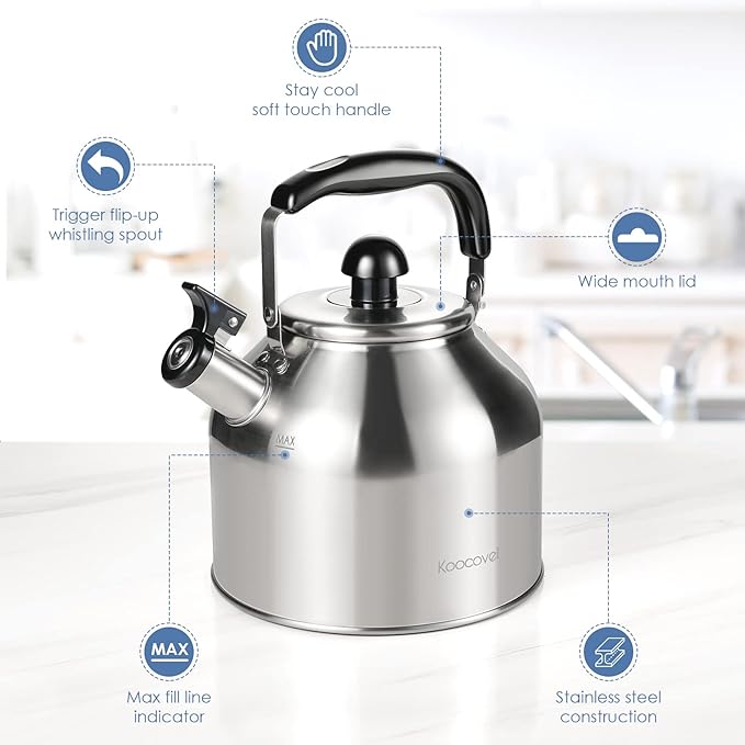 Tea Kettle for Stove Top,304 Stainless Steel Tea Kettles,4L/4.2QT Tea Kettles for Kitchen,Camping,Traveling,Portable,Fast to Boil
