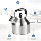 Tea Kettle for Stove Top,304 Stainless Steel Tea Kettles,4L/4.2QT Tea Kettles for Kitchen,Camping,Traveling,Portable,Fast to Boil