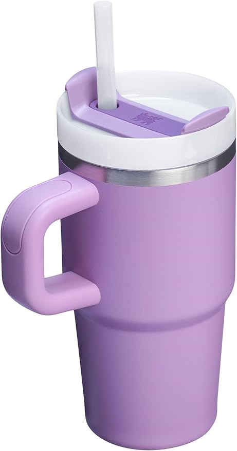 STANLEY Quencher H2.0 Tumbler with Handle and Straw 20 oz | Flowstate 3-Position Lid | Cup Holder Compatible for Travel | Insulated Stainless Steel Cup | BPA-Free | Lilac