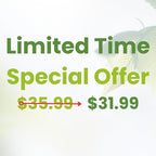 250 Piece Biodegradable Paper Plates Set – Sturdy Compostable Dinnerware with 7” & 9” Plates, Forks, Knives & Spoons – Eco-Friendly Disposable Party Supplies