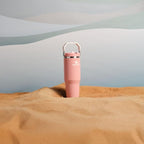 Stanley IceFlow 2.0 Flip Straw Tumbler with Handle 30 oz | Twist On Lid and Flip Up Straw | Leak Resistant Water Bottle | Insulated Stainless Steel | BPA-Free | Exclusive Sienna