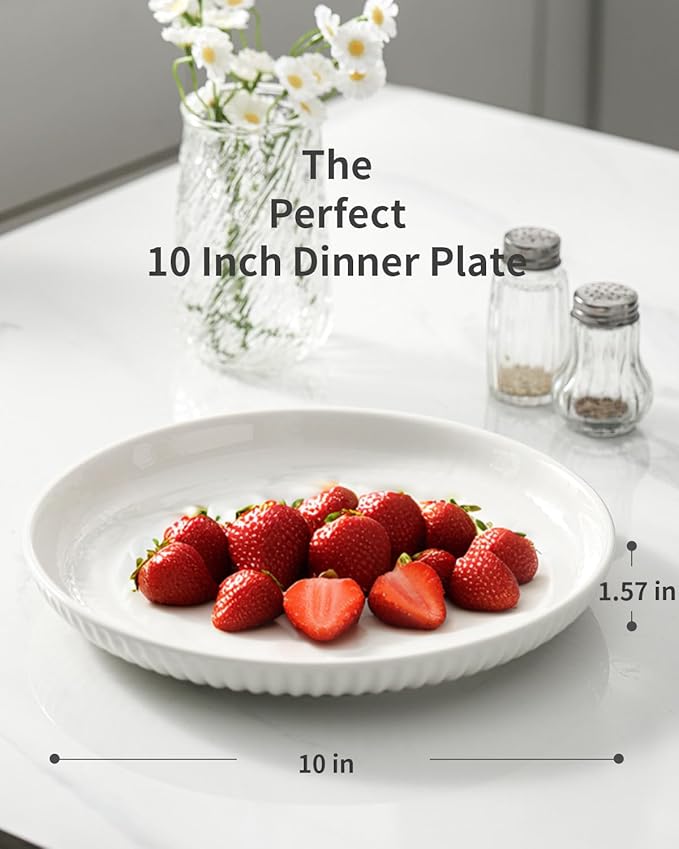 Hasense Dinner Plate, 10 Inch White Ceramic Plates Set of 2, Dish Set for Steak, Pasta, Pizza, Appetizer, Round Dinnerware Dish for Kitchen, Serving Plate Microwave, Oven and Dishwasher Safe