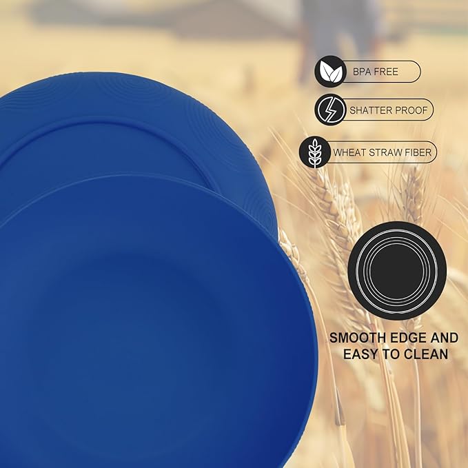 65oz Wheat Straw Large Salad & Soup Bowls Set of 2, Unbreakable, Microwave & Dishwasher Safe, Plastic Bowls for Kitchen, Camping, School - Blue