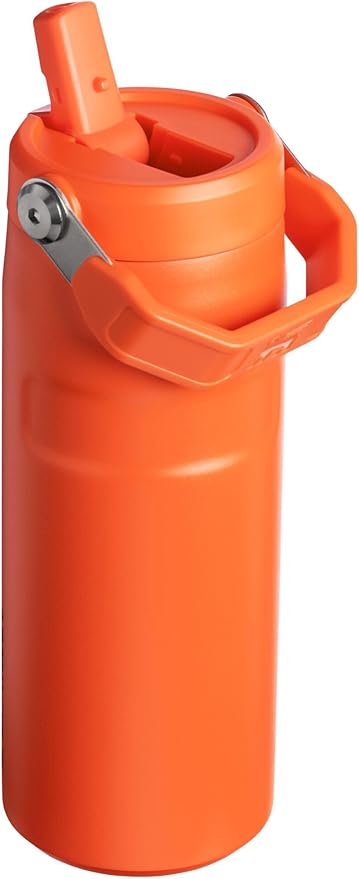 Stanley IceFlow Flip Straw 2.0 Water Bottle 16 OZ | Built-In Straw with Larger Opening | Lightweight & Leak-Resistant | Insulated Stainless Steel | BPA-Free | Tigerlily Plum