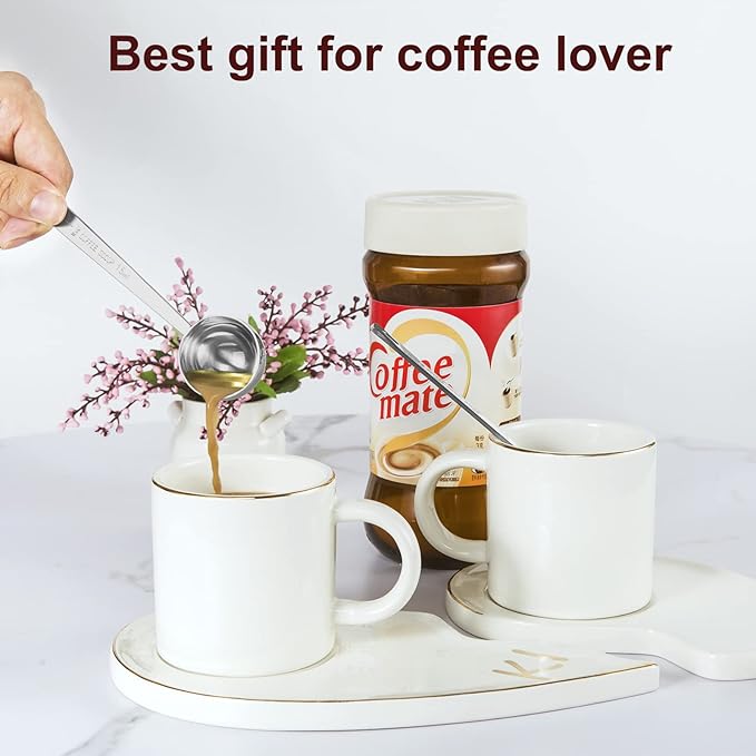 Premium Coffee Scoop Set, Set of 2, Metal Stainless Steel Long Handle Coffee Scoop, Measuring Coffee Spoons Contains 1 Tablespoon (15 ml) and 2 Tablespoons (30 ml) Spoon-Silver