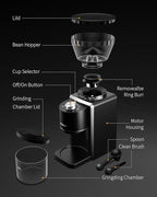 Conical Burr Coffee Grinder, Electric Coffee Bean Grinder for Precise Grinding, 35 Settings, 2–12 Cup Selector, Anti-Static Design for Home Use, Black