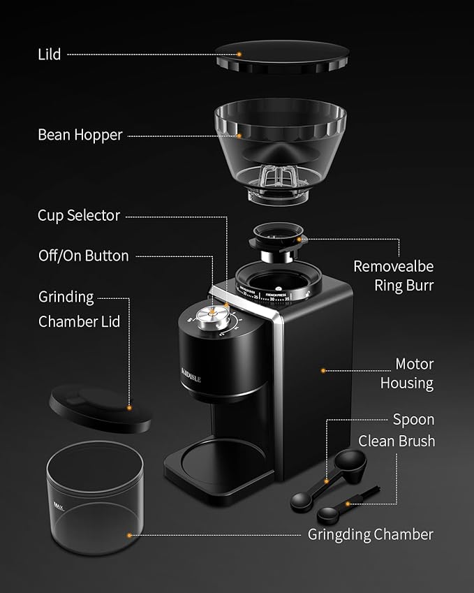 Conical Burr Coffee Grinder, Electric Coffee Bean Grinder for Precise Grinding, 35 Settings, 2–12 Cup Selector, Anti-Static Design for Home Use, Black