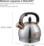 Tea Kettle -2.8 Quart Tea Kettles Stovetop Whistling Teapot Stainless Steel Tea Pots for Stove Top Whistle Tea Pot