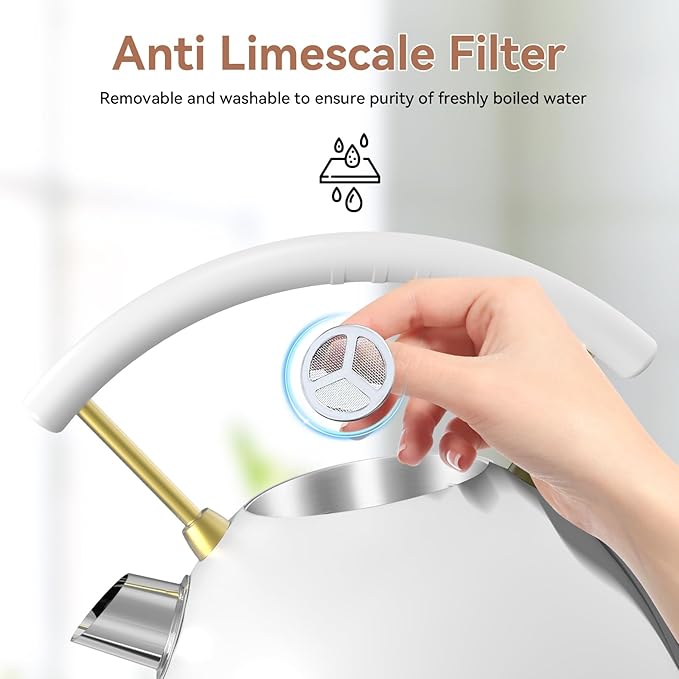 Rasonic Retro Electric Kettle Stainless Steel, 1.8L Tea Water Boiler, 1500W Fast Quiet Boil, Temperature Gauge, Auto Shut-Off, Boil-Dry Protection, White Champagne Gold