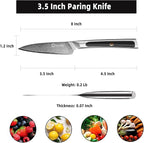 Sunnecko Paring Knife 3.5 Inch, Fruit Knife with 67-layers Damascus Steel VG-10 Blade Small Knife, Peeling Knife with Inlaid Handle Small Kitchen Knife Perfect for Cutting Fruit Vegetables Petty Knife
