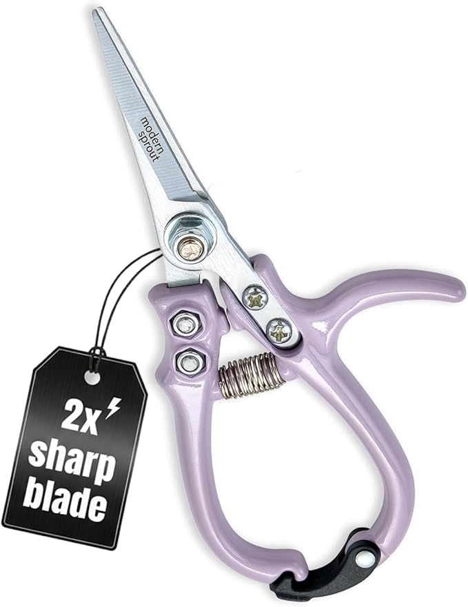 Modern Sprout Pruning Shears - Herb Snipping Scissors- Lightweight Gardening Tools W/Easy Lock - Flower Cutter Garden Shears - Carbon Steel Blade + Reusable Holster (Lavender, 1-Pack)