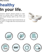 LE TAUCI Small Bowls 10 oz, Ice Cream Bowl, Ceramic Stoneware Bowl, Bowls Set for Dessert, Fruits, Side Dishes, Suit For Housewarming - 4.5 Inch, Set of 4, Arctic white