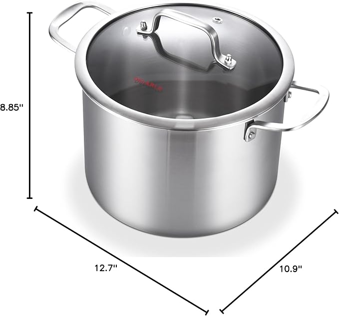 DELARLO Tri-Ply Stainless Steel 8 Quart Stock Pot, Heavy-Duty, All Stove Compatible, Up to 600℉ Soup Pot with Lid, 18/10 Induction Big Stockpot with Lids, Large Stainless Steel Induction for Cooking