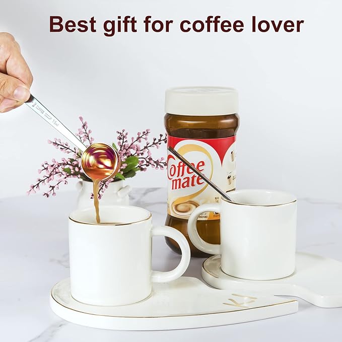 Premium coffee scoop set, set of 2, Metal stainless steel long handle coffee scoop, measuring coffee spoons contains 1 tablespoon (15 ml) and 2 tablespoons (30 ml) multicolor spoon