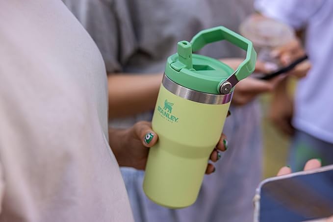 Stanley IceFlow Flip Straw Tumbler with Handle 20 oz | Twist On Lid and Flip Up Straw | Leak Resistant Water Bottle | Insulated Stainless Steel |BPA-Free | Citron