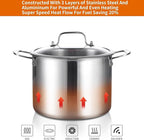 DELARLO Tri-ply Stainless Steel 20QT Stock Pot, Compatible with All Stoves Up to 600℉, 18/10 Induction Big Cooking Pot with Lid, Fast & Even Heating, Durable Large Soup Pot