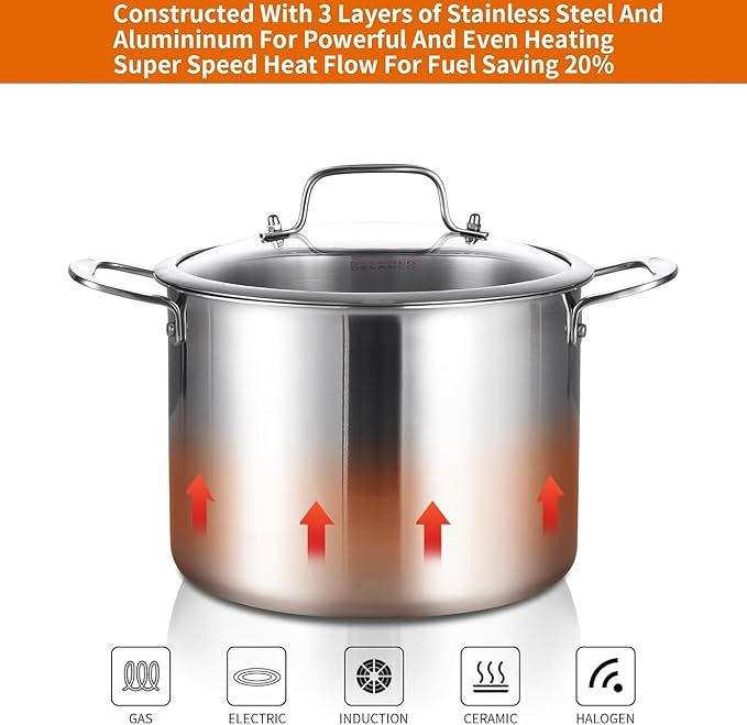 DELARLO Tri-ply Stainless Steel 20QT Stock Pot, Compatible with All Stoves Up to 600℉, 18/10 Induction Big Cooking Pot with Lid, Fast & Even Heating, Durable Large Soup Pot