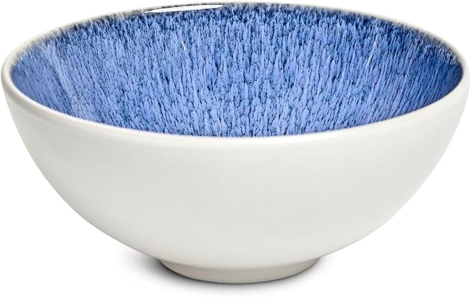 Sango Cove 12-Piece Blue Stoneware Dinnerware Set – Service for 4, Plate & Bowl Set, Blue with a White Speckled Underglaze, for Daily Dining & Entertainment, Microwave & Dishwasher Safe